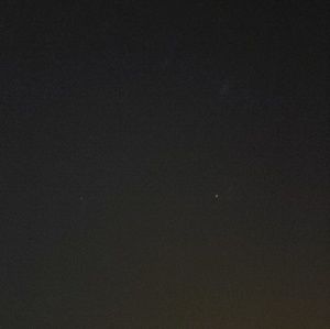 Meet your Posher, Scarlett